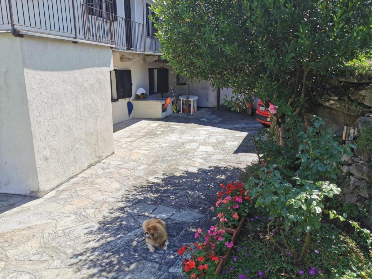 Da Zio Guido! Villa Bussoleno Exterior photo